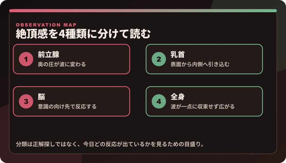 前立腺、乳首、脳、全身痺れの4種類の絶頂感を並べた観測マップ