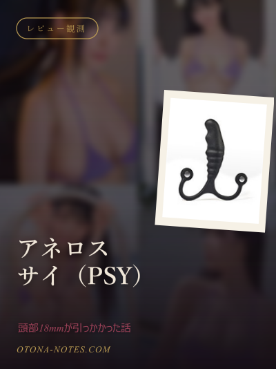 アネロス サイ（PSY）｜頭部18mmが引っかかった話